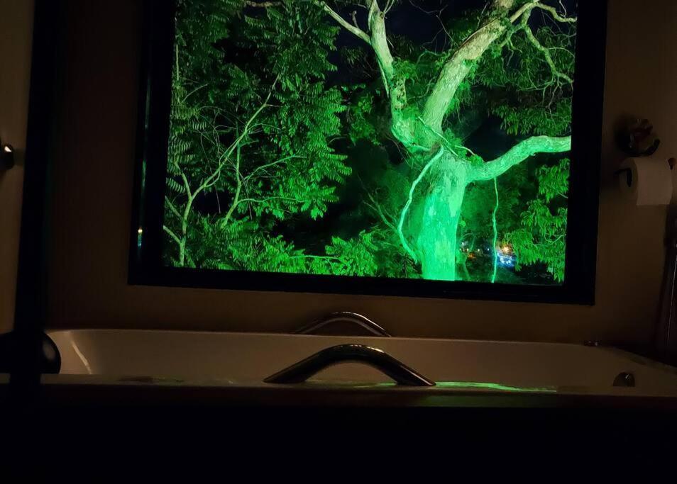 Casa Do Alto Santa Monica- Natureza Ao Seu Redor Holiday home *